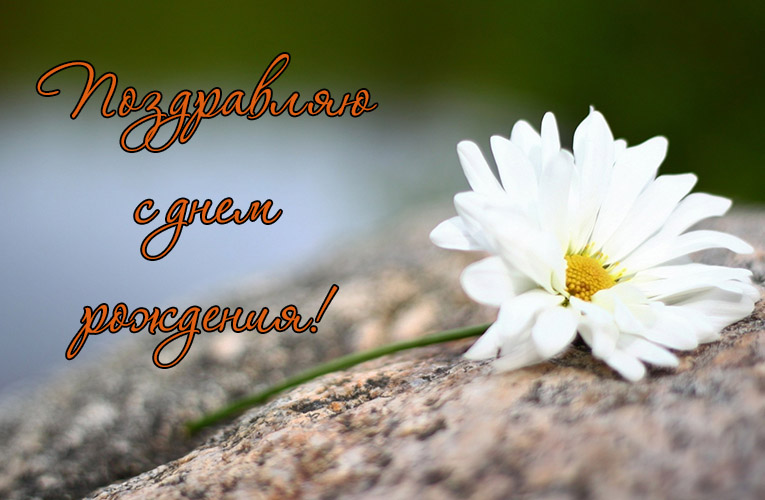 Бесплатные поздравительные открытки день рождения