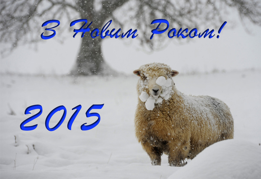 Прикольні листівки з Новим Роком 2015 українською 