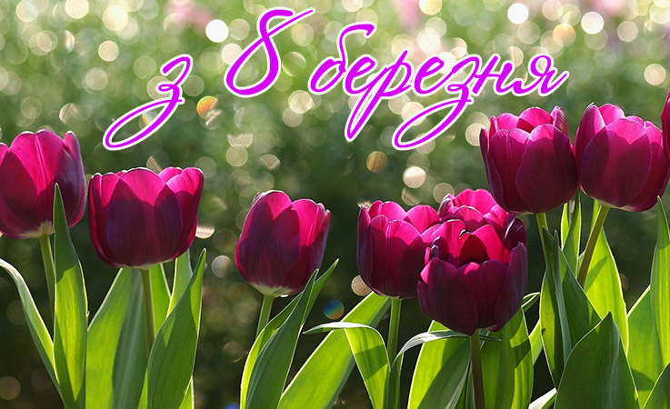 привітання: 8 березня, відкритки