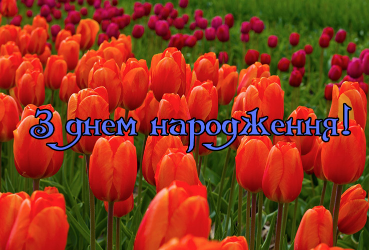 Відкритки з днем народження