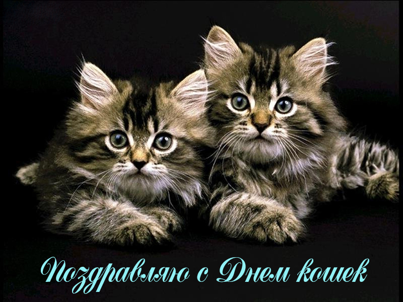 Смс с 8 Марта классному руководителю в 2019 году Смс с 8 Марта классному руководителю в 2019 году